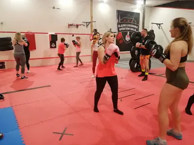 Śląska Akademia Sportów Walki